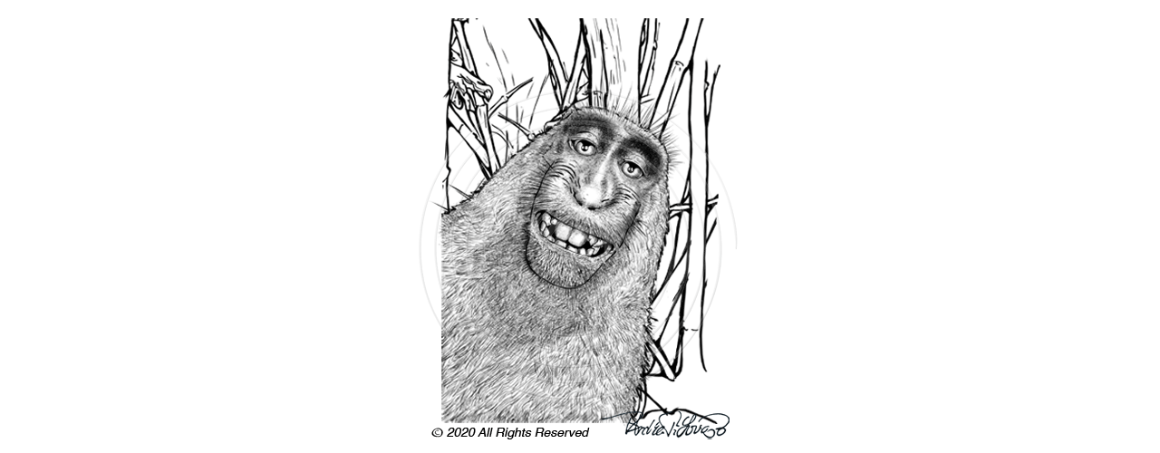 043-Monkey-Selfie
